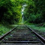 Railroad tracks going through lush green forest