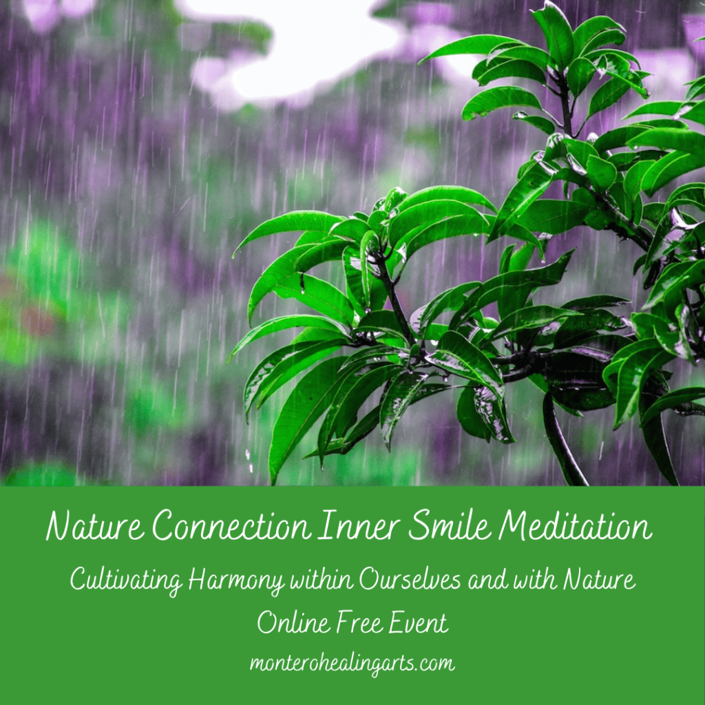 Nature Connection Inner Smile Meditation Rain with green plants