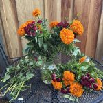 Herb bundles used for traditional healing