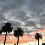 clouds and palm trees