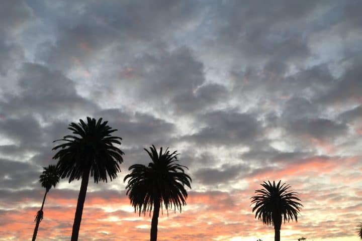 clouds and palm trees